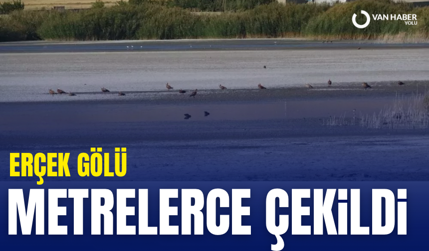 Erçek Gölü metrelerce çekildi