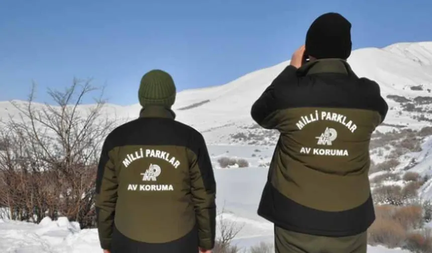 Hakkâri'de yasa dışı avcılığa ağır ceza