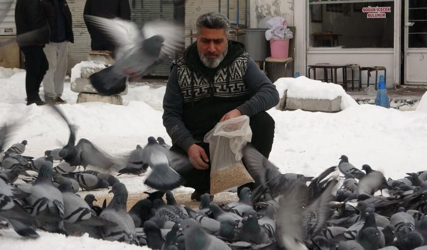 Van’da 24 Yıllık Sessiz Dostluk: Binlerce Güvercin Kartpostallık Görüntüler Oluşturdu