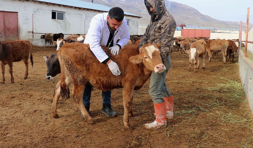 Van’da baba mesleğini devlet desteğiyle modernleştirdi