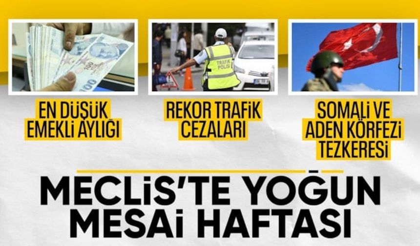 TBMM yoğun mesaisine devam ediyor: En düşük emekli maaşı ve Arap Denizi tezkeresi gündemde