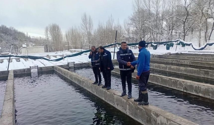 Van’da alabalık üretimine kış denetimi: Üreticilere yerinde eğitim
