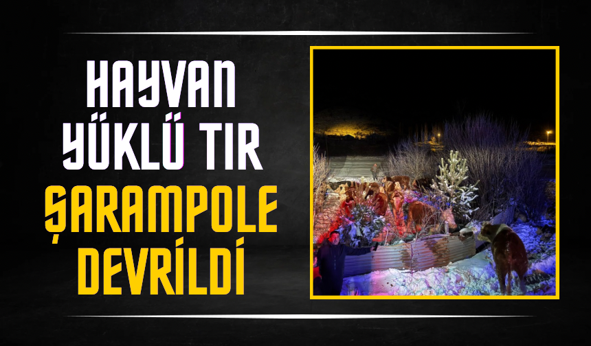 Hayvan yüklü tır şarampole devrildi