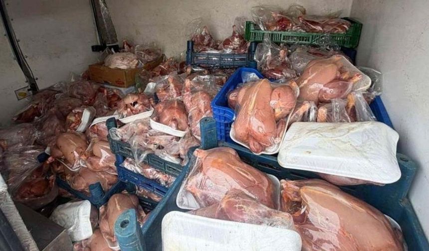 Van’da raporsuz tavuklar ele geçirildi