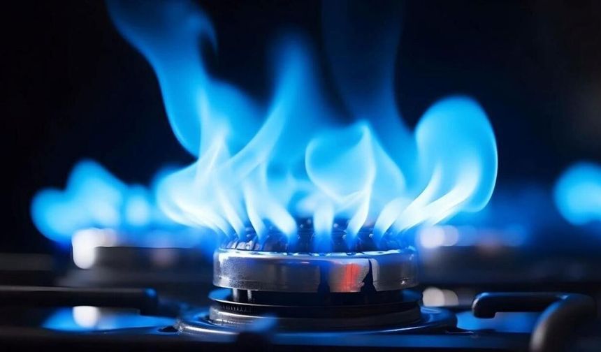 Van’da doğal gaz abone sayısı belli oldu