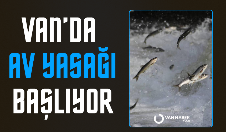 Van’da İnci Kefali için geri sayım: Av yasağı başlıyor