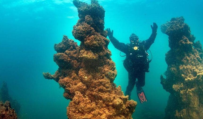 Van Gölü’nün dev mikrobiyalitleri dünya rekoru yolunda