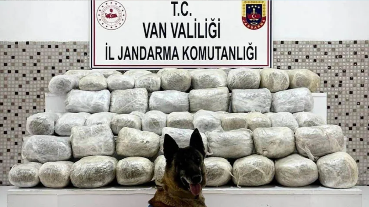 Yol Çalışması (7)
