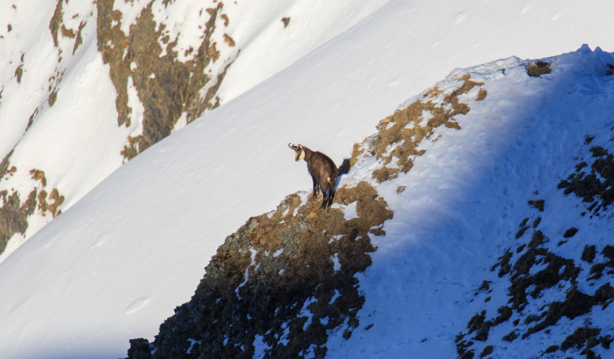 Lise Kampüsü Geliyor!-46