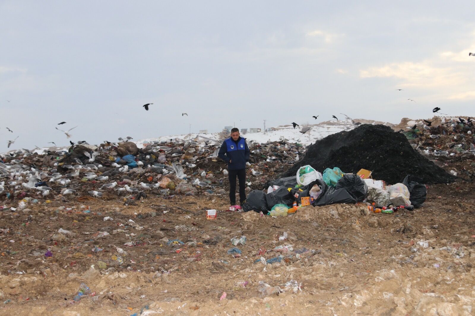 B44A74F1 Bd28 49D6 8Cfd C4Ec48D0D325